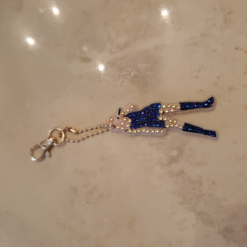 Taylor Swift Sparkle Bag Charm/Key Chain